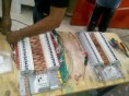 /album/galeria-de-fotos-eletrica/img-20121116-175047-copia-jpg/